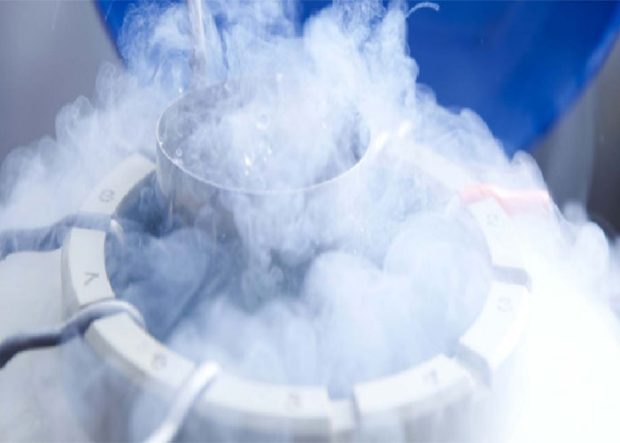 Egg freezing benefits