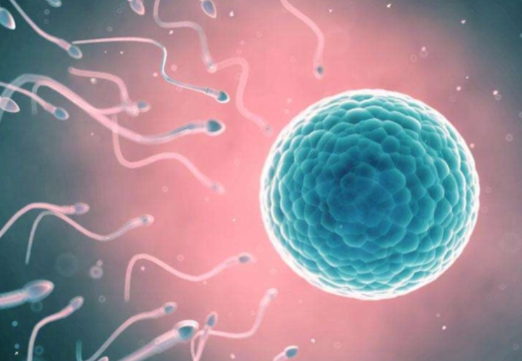 Surrogacy