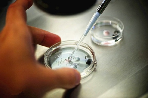 IVF