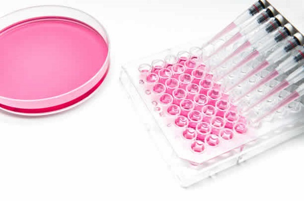 IVF