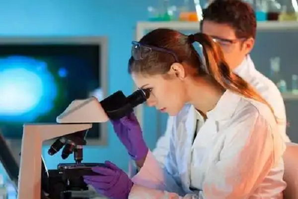 IVF