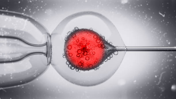 IVF