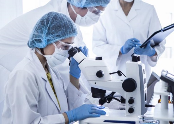IVF