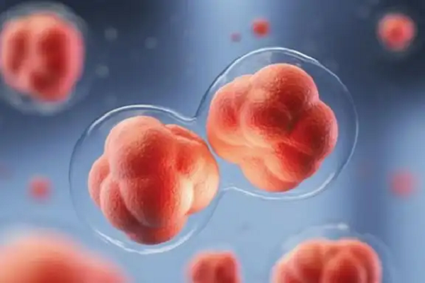 IVF
