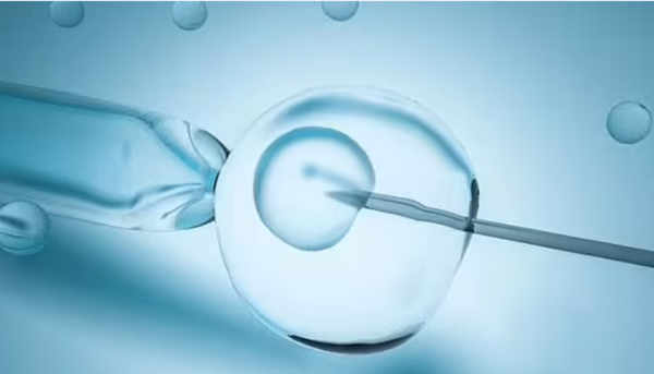 IVF