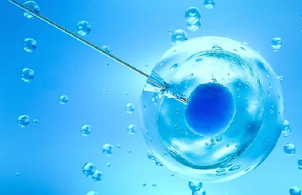 IVF
