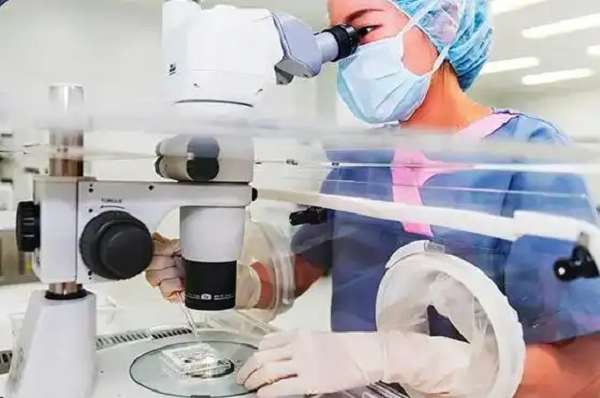 IVF
