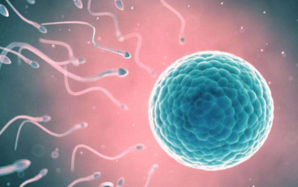 Surrogacy