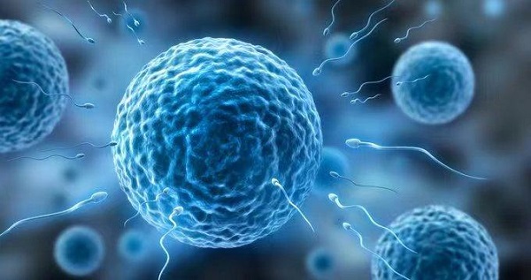 IVF