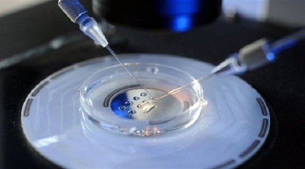 IVF