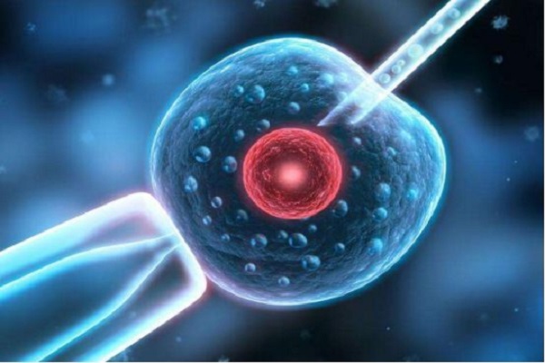IVF