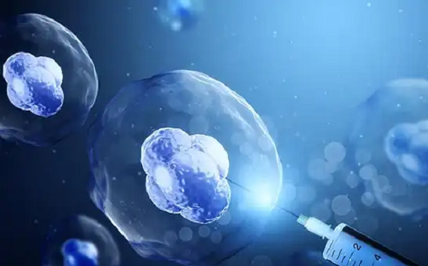IVF