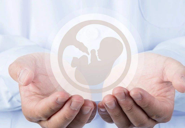 试管婴儿