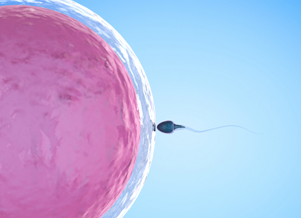 ivf