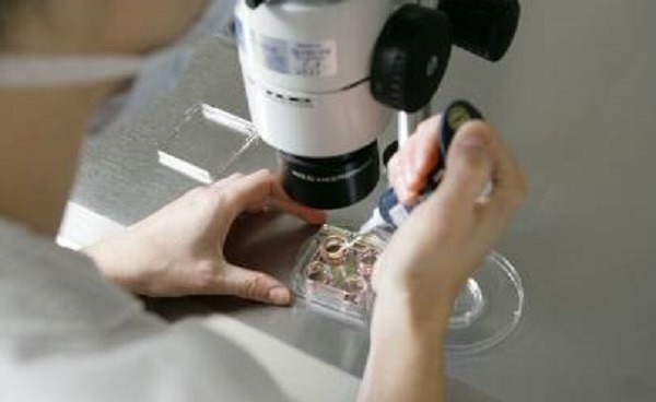 IVF