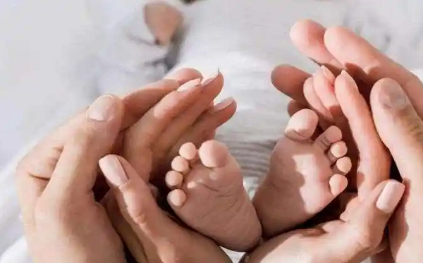 IVF