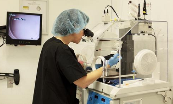 IVF